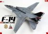 Kagero 41001 Grumman F-14 TOMCAT EN/PL